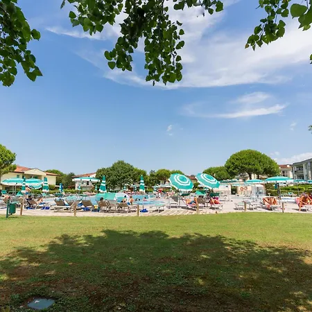 Tigli Lido Altanea *