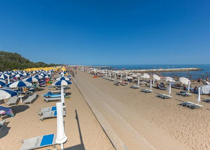 Tigli Lido Altanea *